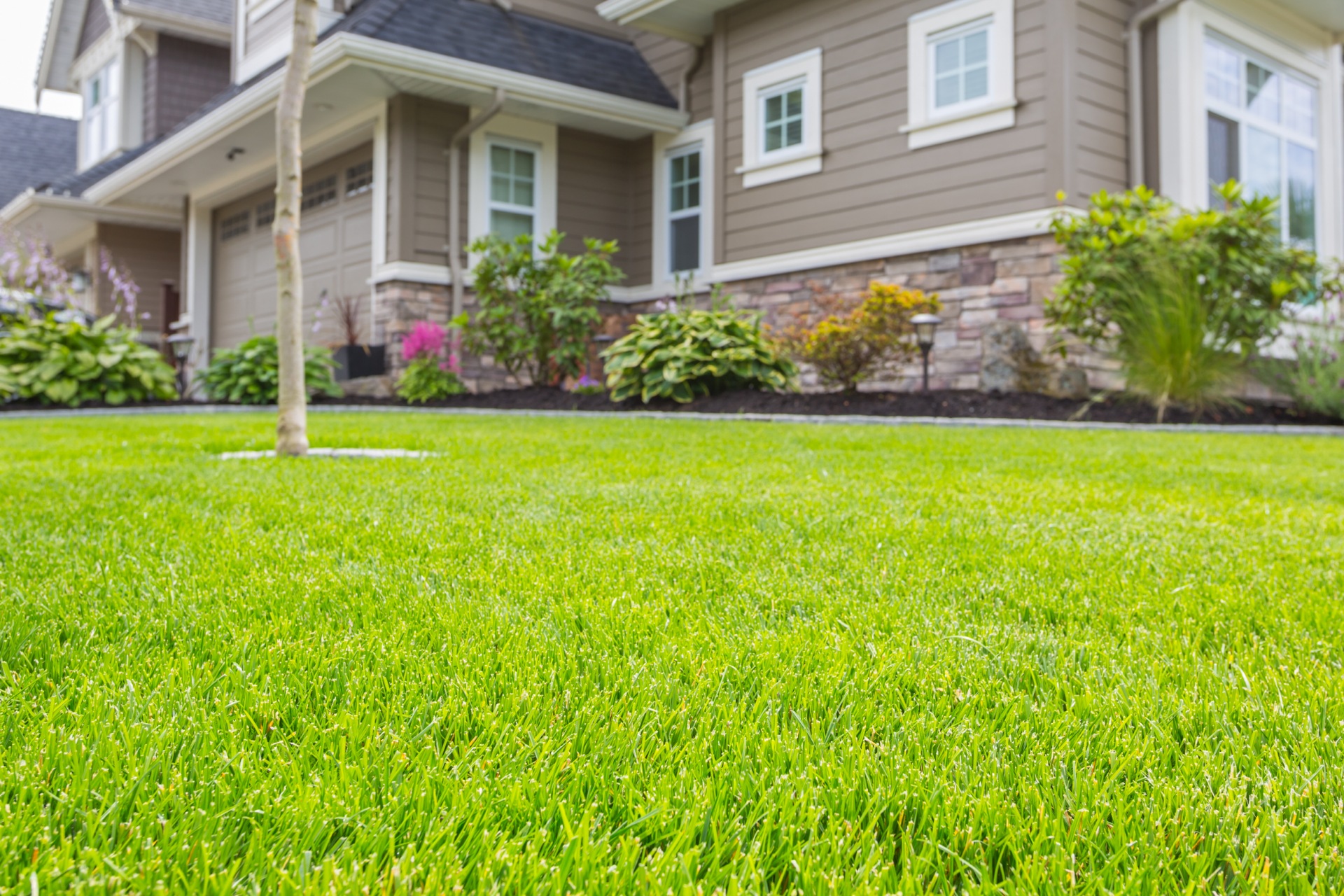 Home on sale lawn care